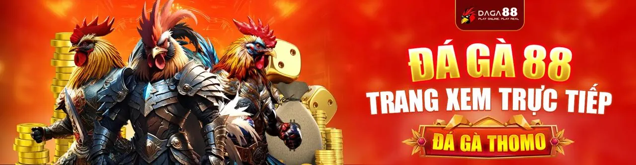 Đá Gà Trực Tiếp Bong8899
