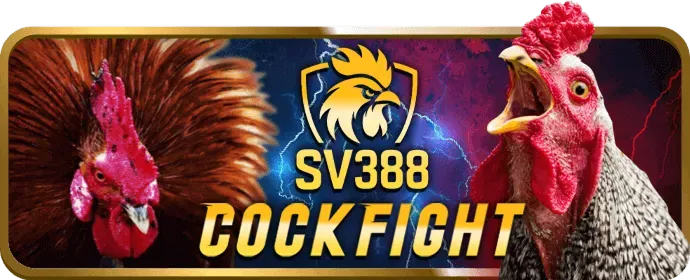 Bàn chơi Dragon Tiger trực tuyến